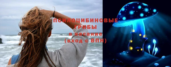 сатива Алексин