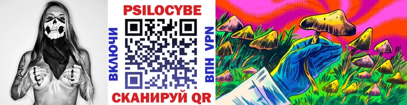 Галлюциногенные грибы Cubensis Закаменск